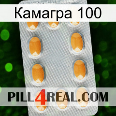 Камагра 100 cialis3